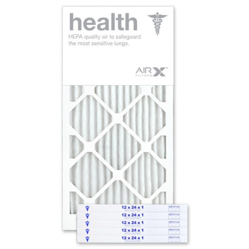 12 X 24 X 1 MERV 13 Pleated Filter