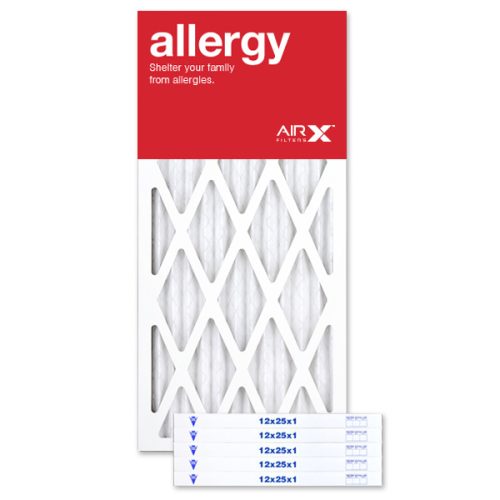 12 X 25 X 1 MERV 11 Pleated Filter