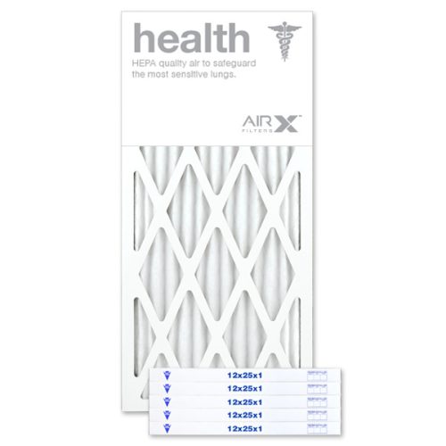 12 X 25 X 1 MERV 13 Pleated Filter