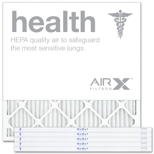 25 X 25 X 1 MERV 13 Pleated Filter